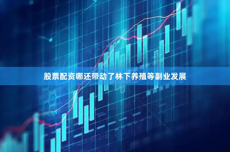 股票配资哪还带动了林下养殖等副业发展