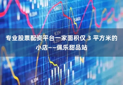 专业股票配资平台一家面积仅 3 平方米的小店——佩乐甜品站