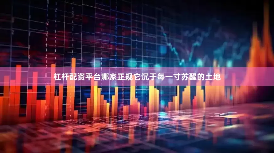 杠杆配资平台哪家正规它沉于每一寸苏醒的土地