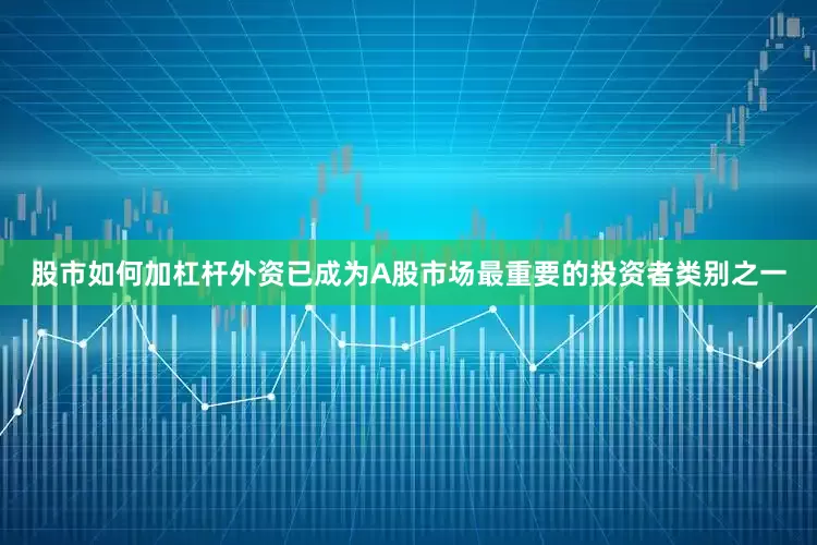 股市如何加杠杆外资已成为A股市场最重要的投资者类别之一